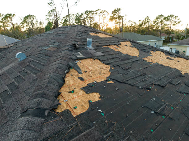 Best Chimney Flashing Repair  in Superior, AZ