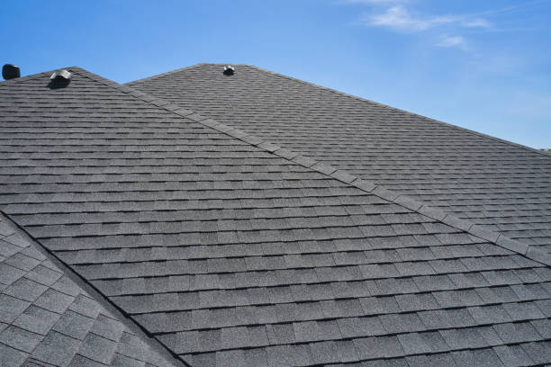 Best Roof Moss and Algae Removal  in Superior, AZ